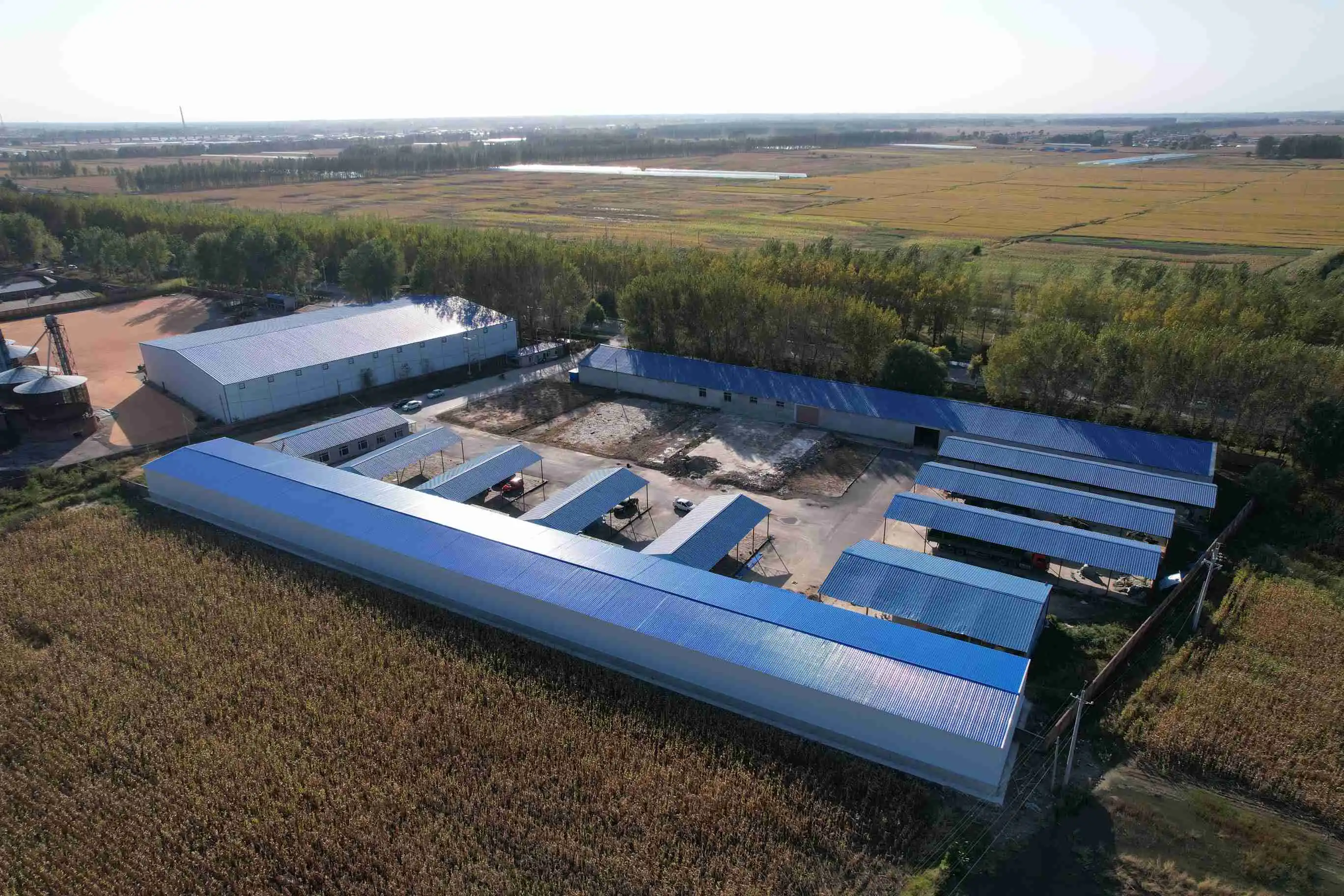 space frame structure