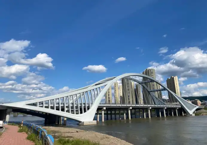  cable stayed building bridge