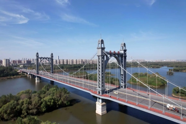 Steel cable-stayed bridges 