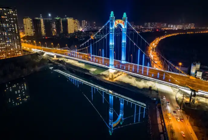 Steel cable-stayed bridges 