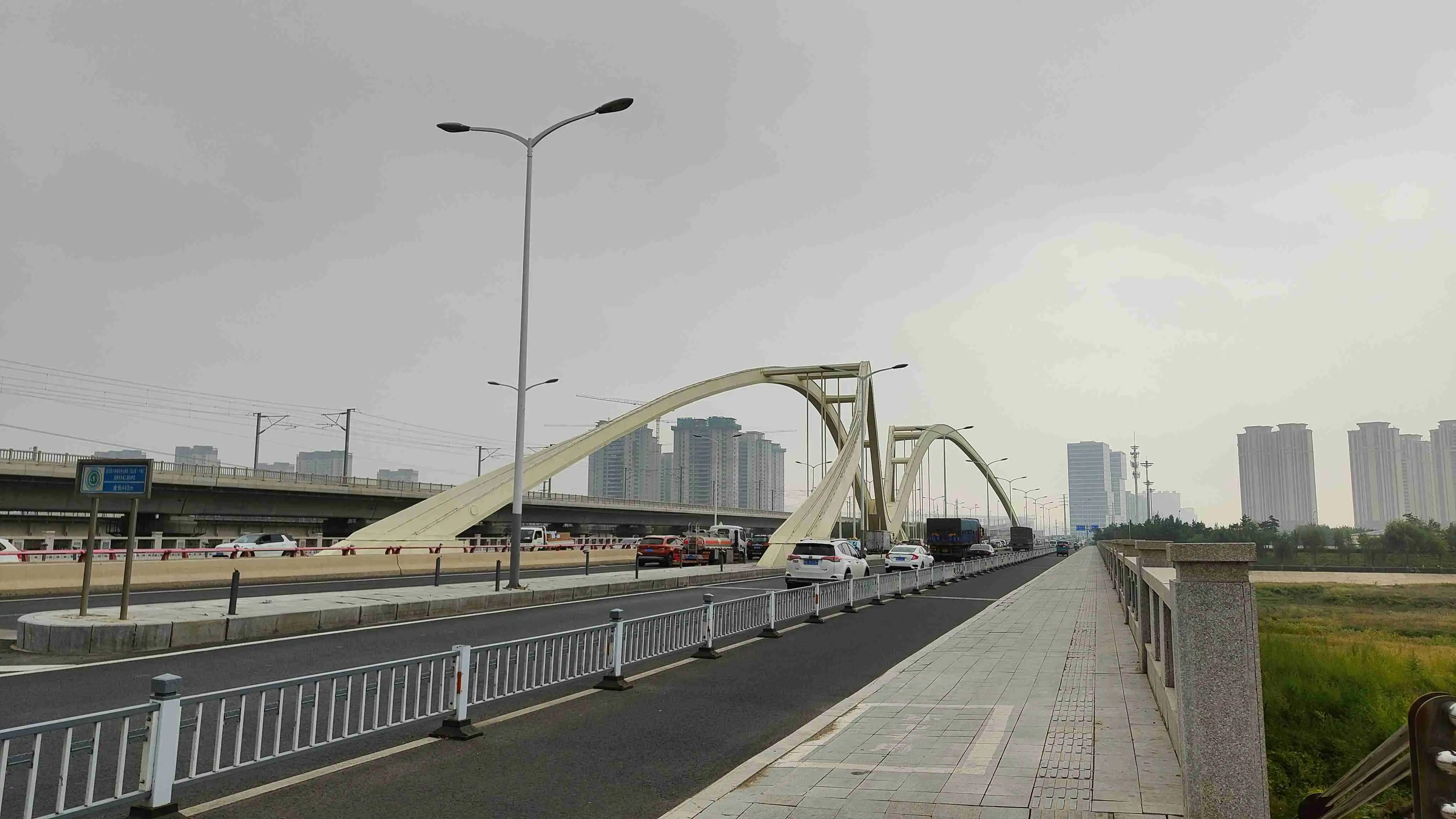 Steel cable-stayed bridges