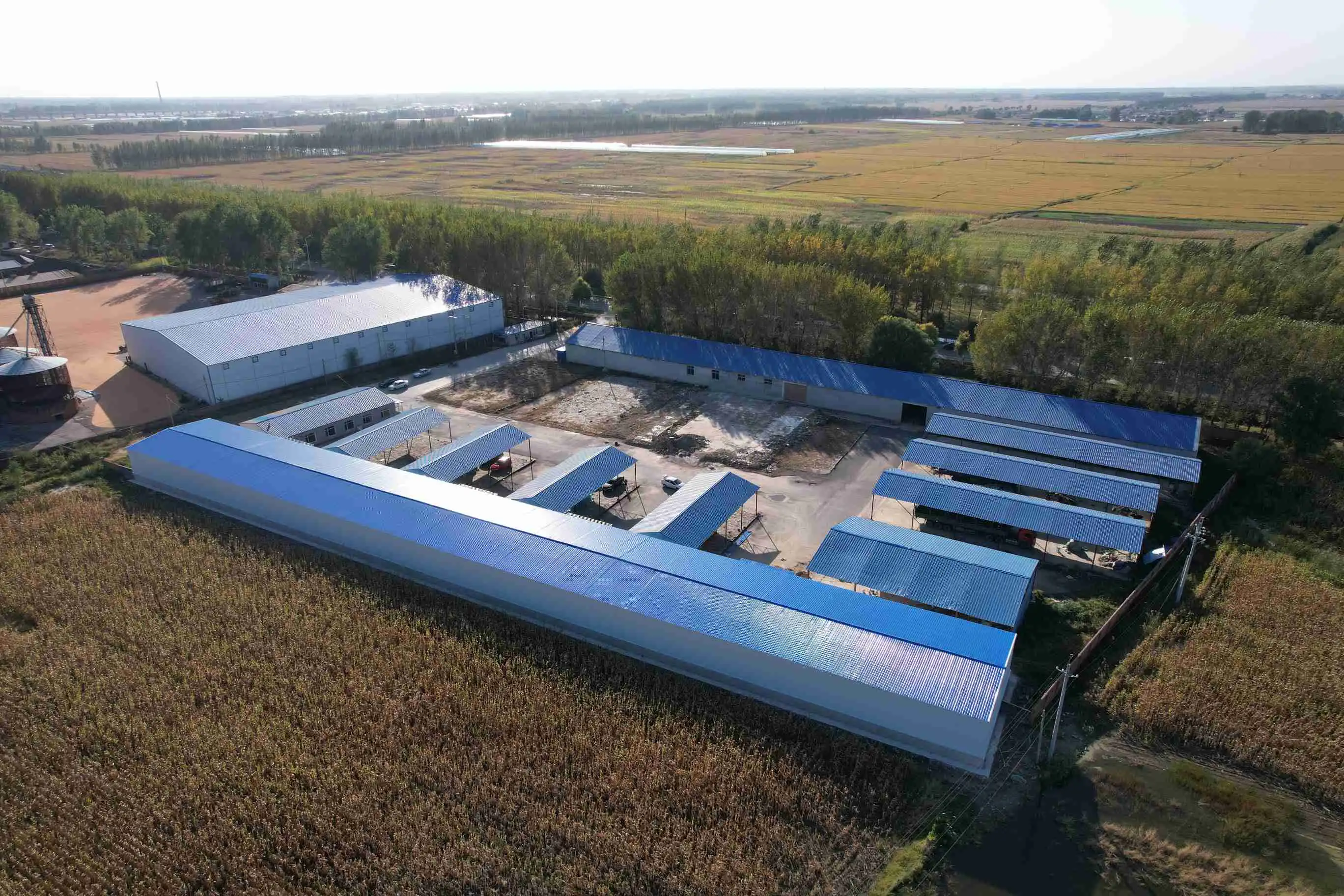 Steel Structure Exhibition Hall Steel Structure Exhibition Hall