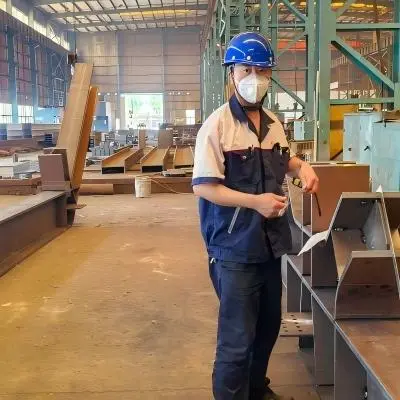 Non-Standard Highway Steel Structure Sound Barriers: Sizes, Shapes & Landscape Integration